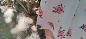 moth on floral dress